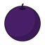 Schwarze Johannisbeere