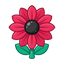 Schwarze Pfefferblume