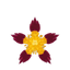 Spanische Zistrose