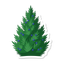 Stechwacholder