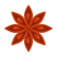 Sternanis