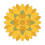 Strohblume Abs Balkan LMR