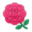 Taif-Rose