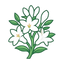 Tuberose Absolue ORPUR