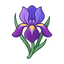 Vintage Iris