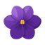 Violet