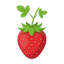 Walderdbeeren