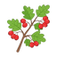 Weißdorn