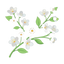 Weiße Blüten