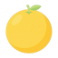 Weiße Grapefruit