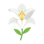 Lily