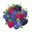 Wilde Beeren