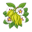 Ylang Labdanum