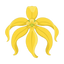 Ylang Madagaskar