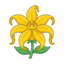 Ylang-Ylang-Essenz aus Madagaskar