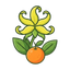 Ylang-Ylang - Mandarine
