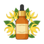 Ylang-Ylang-Öl