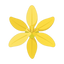 Ylang