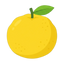 Yuzu