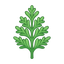 Zedernblatt