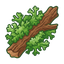 Zedernholz Eichenmoos