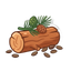 Zedernholz und Kümmel