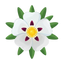 Zistrose Labdanum