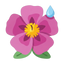 Zistrosenessenz