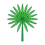 Zypergrass