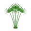 Zyperngras
